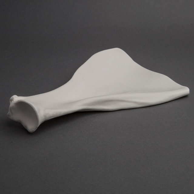 Hezur-paletilla-porcelana